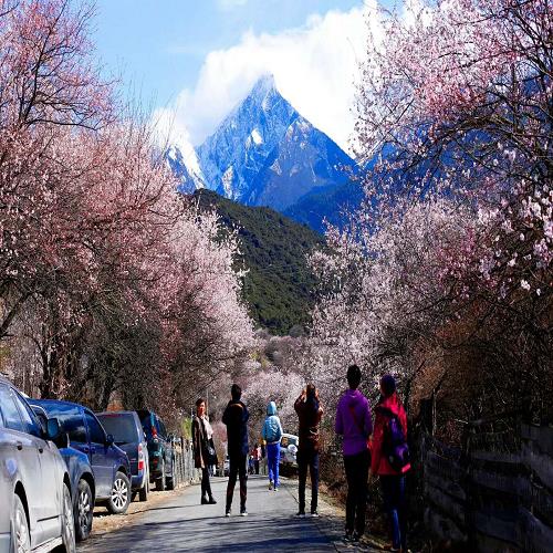 旅游川藏线包车什么时间适合走318-春节四川旅游攻略-成都征程户外运动有限公司