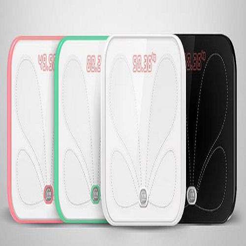 脂肪稱哪個牌子較專業