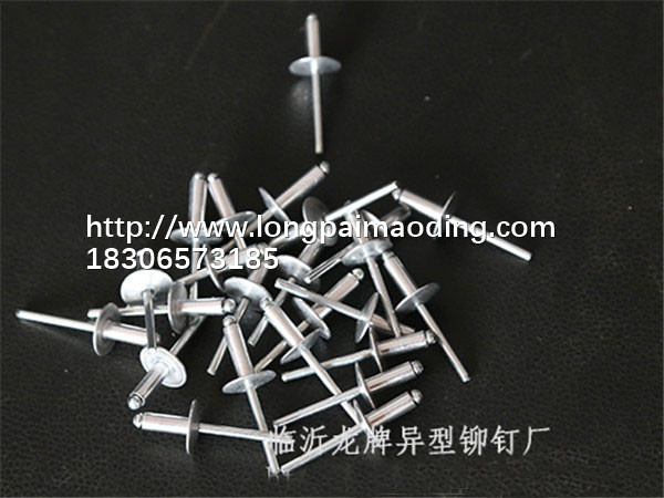 臨沂抽芯拉鉚釘廠家**-批發(fā)鉚釘