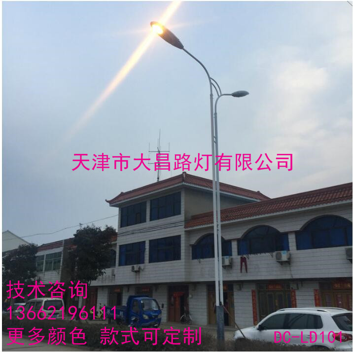 天津高杆路灯LED庭院景观灯户外道路景观灯厂家