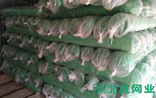 高碑店遮陽網質量哪家好-高碑店市盛品塑料制品-高碑店遮陽網哪家*