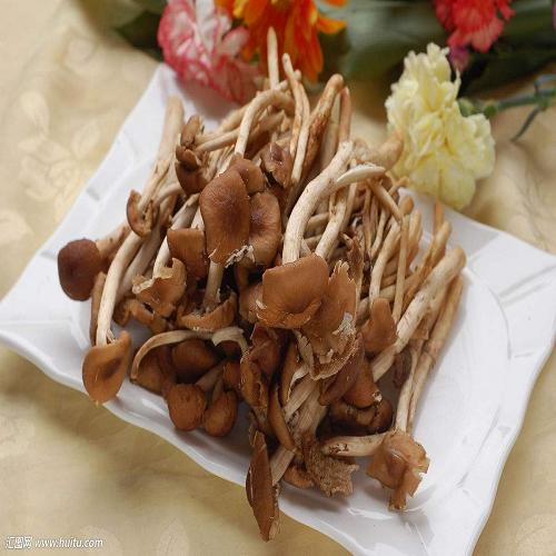 優(yōu)質(zhì)茶樹菇批發(fā)_新鮮銀耳批發(fā)_重慶市渝中區(qū)東升蔬菜經(jīng)營部