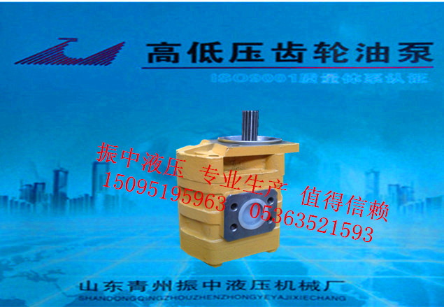 雙聯(lián)齒輪油泵廠家**，青州裝載機(jī)齒輪油泵