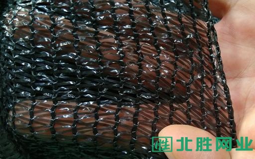 房山區(qū)遮陽網(wǎng)價格-高碑店市盛品塑料制品-房山區(qū)遮陽網(wǎng)生產(chǎn)廠家電話