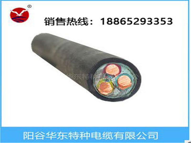 **低煙無鹵電纜陽谷華東電纜供應 **低煙無鹵電纜