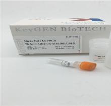 凱基 BCA蛋白濃度測定試劑盒KGP902