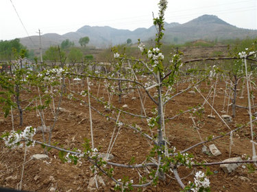 寫生基地哪里有，峨莊魏氏莊園專業(yè)的美術(shù)寫生基地推薦