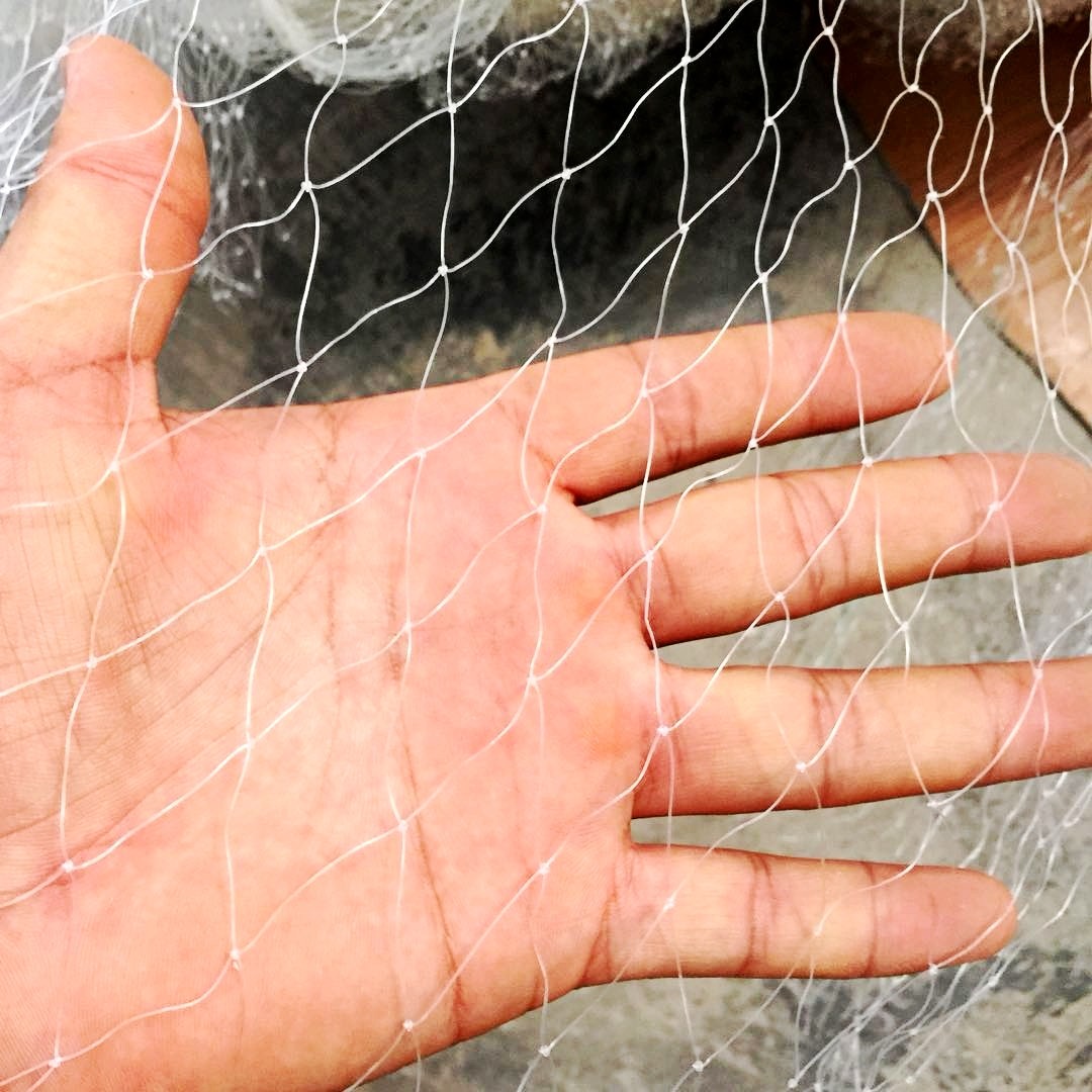 河南生根粉批發_湖北生根粉