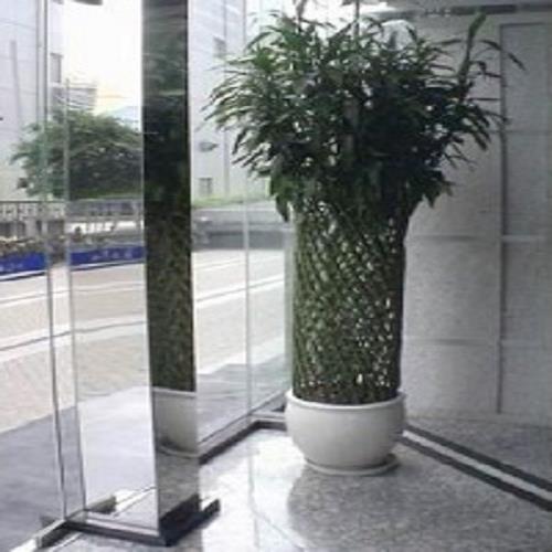 花卉租售/合肥花卉租賃/合肥予萊燕園藝有限公司
