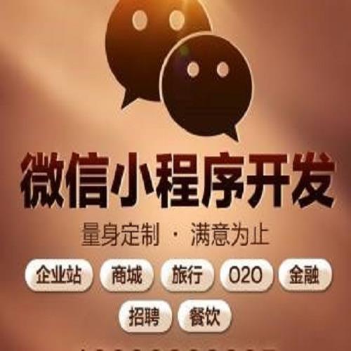 白云区小程序制作开发/网站SEO团队/广州丹心信息科技有限公司