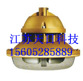 SBF6103免維護(hù)節(jié)能**防塵防腐燈,SBF6三防無極燈，SBF6103無極燈，SBF6103電磁感應(yīng)燈，SBF6103應(yīng)急燈電磁三防護(hù)欄燈