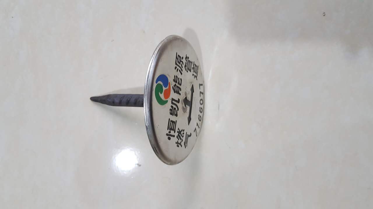 廣西不銹鋼 鋼筋  地面釘    燃氣釘 廠家