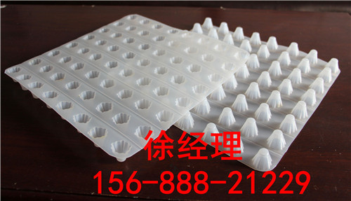 十堰4公分高排水板生產(chǎn)批發(fā)