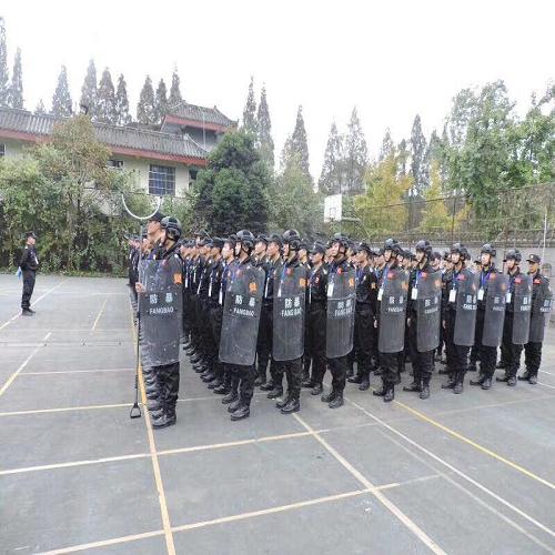 專業特衛服務