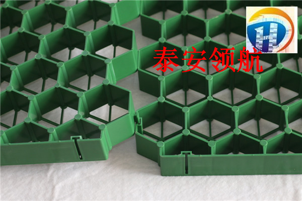 深圳加強植草格廠家大量供應