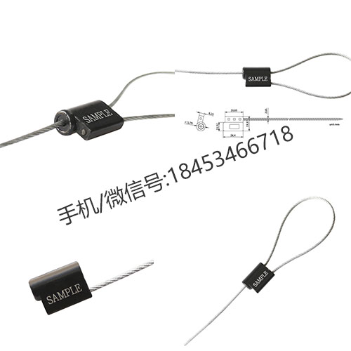 施封鎖組裝過程