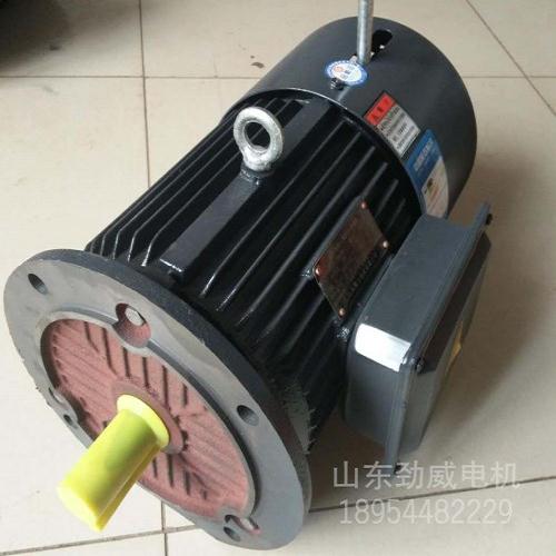 YEJ系列電磁制動(dòng)三相異步電動(dòng)機(jī)批發(fā)