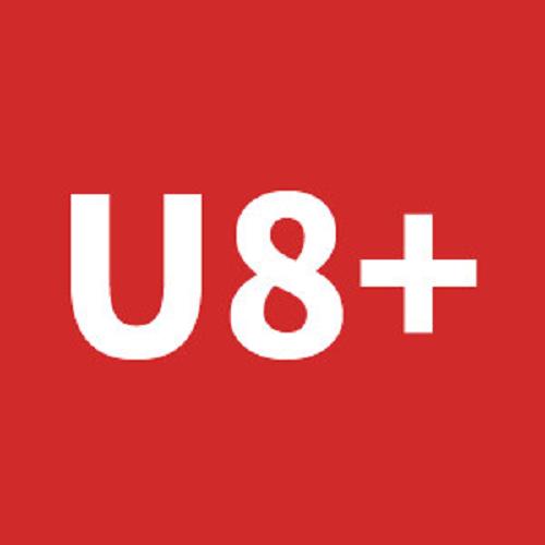 上海用友益友U8財務軟件