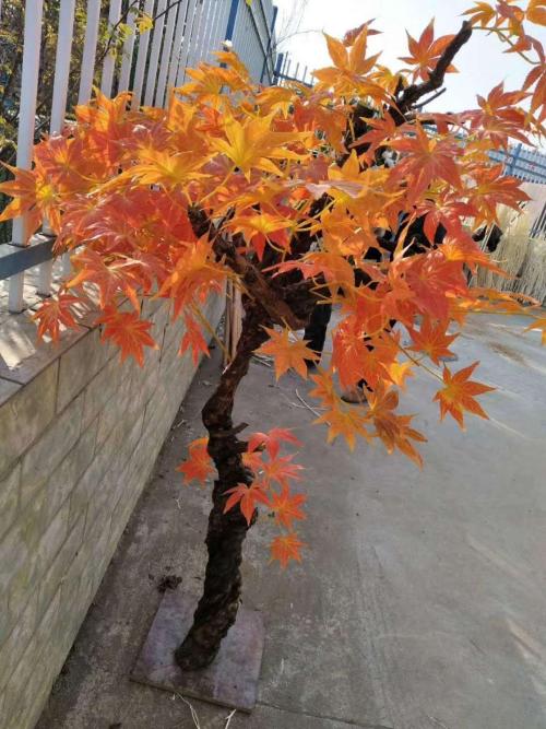 北京仿真植物哪里有賣