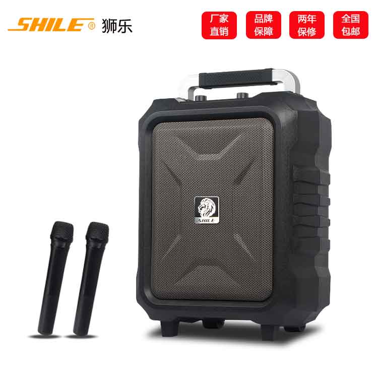 廣場(chǎng)舞音響  戶(hù)外拉桿音箱  8寸電瓶音響帶無(wú)線話筒廠家