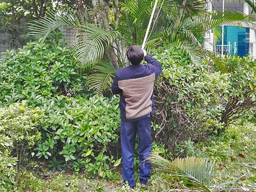 東莞開荒保潔公司——選滿意清潔