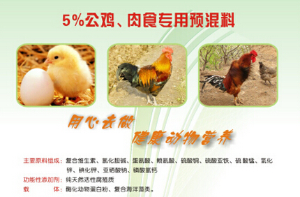 膨化玉米價格-山東膨化玉米-山東膨化玉米-金龍飼料