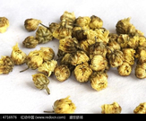 **菊花中藥材