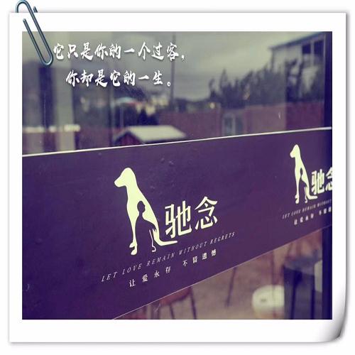 專業的寵物火化多少錢