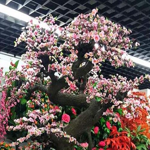 仿真樹圖片