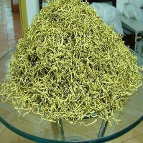 求購(gòu)產(chǎn)量高的金銀花