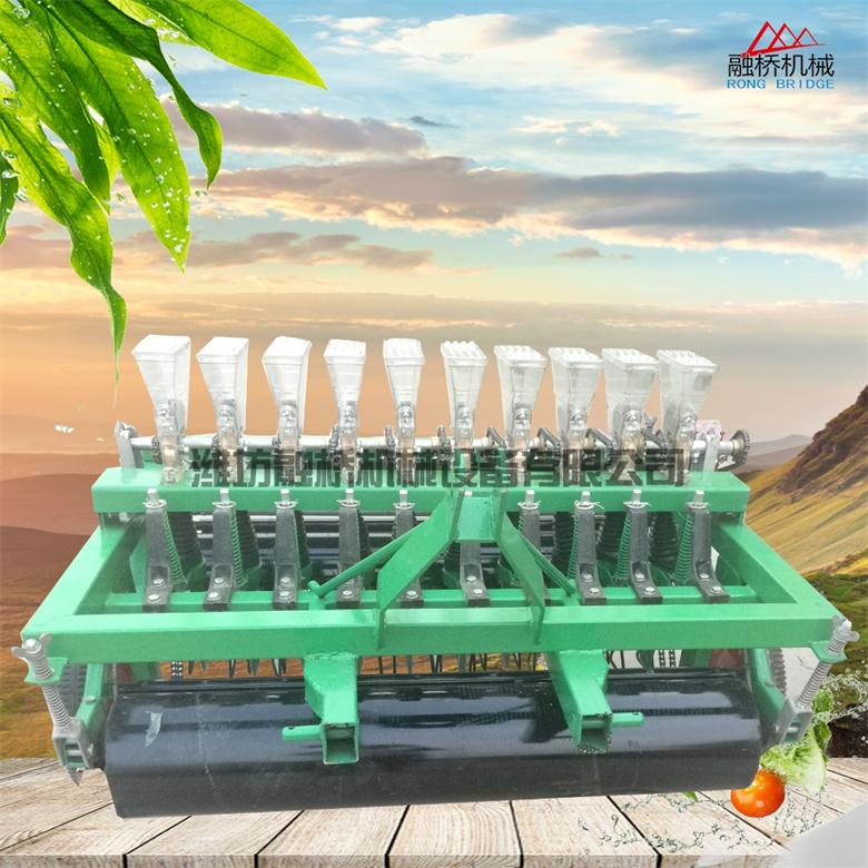 鞍山大棚蔬菜播種機 菜籽播種機