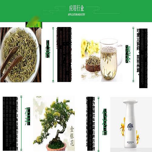 封丘金銀花苗合作社電話