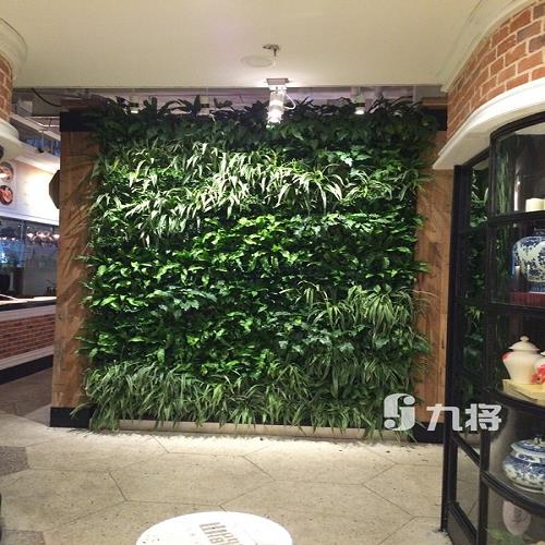 上海墻體綠化價格
