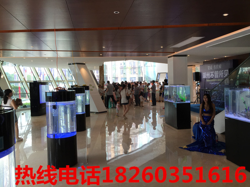 *的活體蝴蝶放飛活動|活體蝴蝶放飛活動*高峰展覽