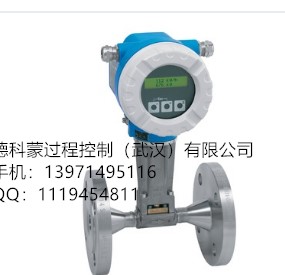 艾默生流量計8600DF010SA1N1D1I3M5CN