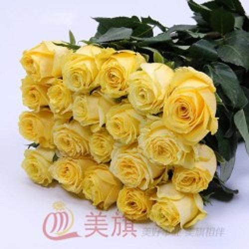 云南鮮花采購商