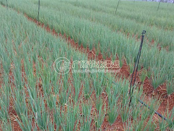大量供應高質量的南寧滴灌管-柳州灌溉設備批發