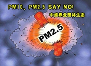 滁州市中盛鼎業生態多孔纖維綿從本上解決霧霾
