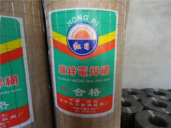 規模大的鍍鋅電焊網生產商_紅日金屬絲網|鍍鋅電焊網規格