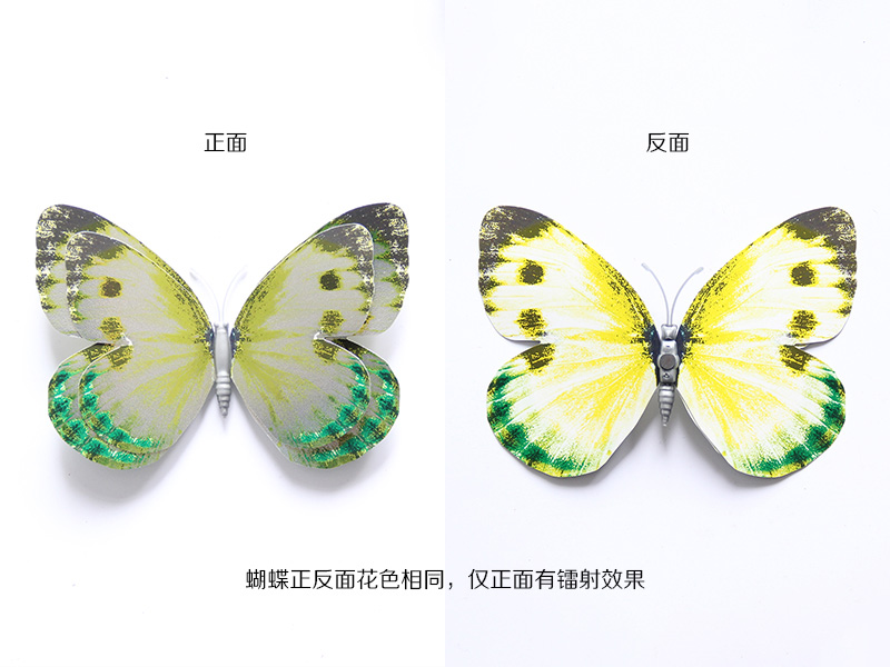 **的銀色雙層蝴蝶套裝提供商—溫州金蝴蝶工藝品|仿真蝴蝶**大氣