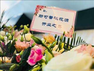 婚礼婚庆婚礼舞台搭建