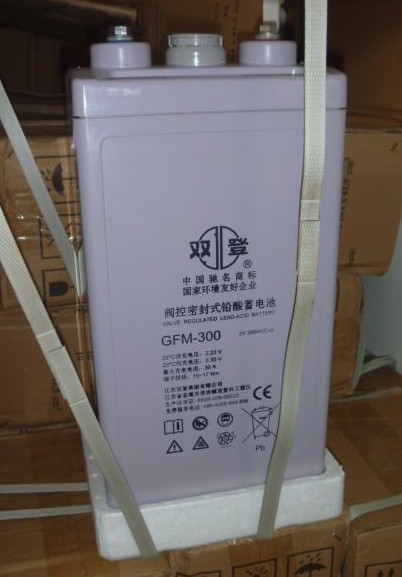 供應雙登蓄電池 您機房電源設備保駕**
