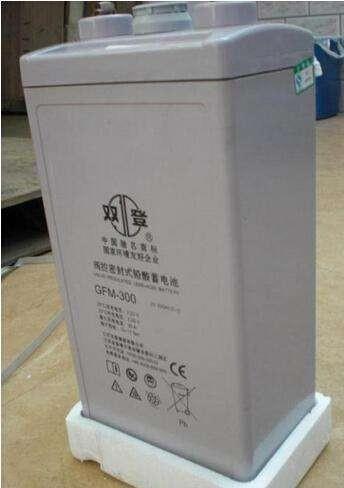 北京UPS雙登蓄電池廠家直銷