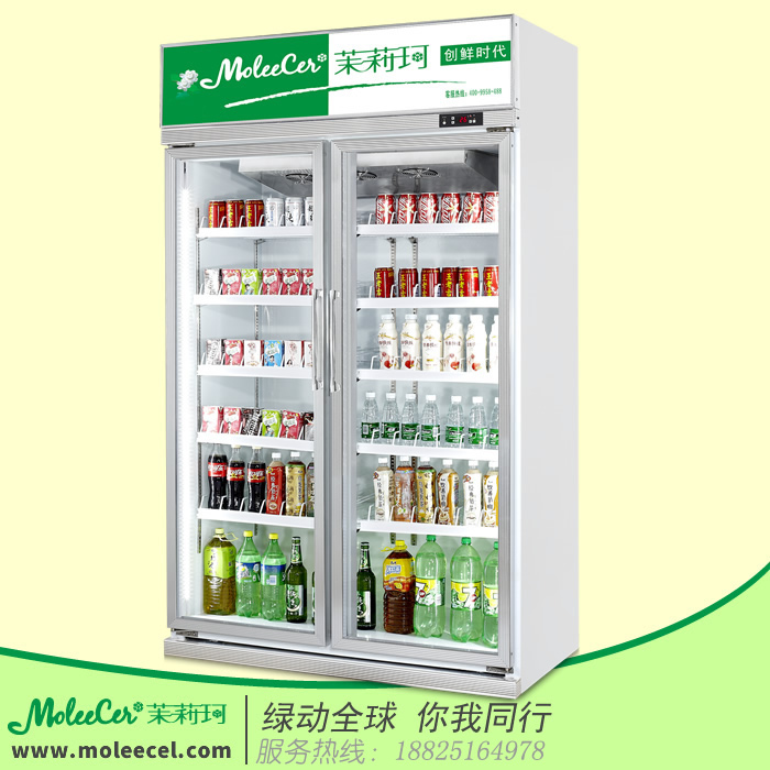 廣州冷柜廠家**茉莉珂MLG-1100香檳色雙門經(jīng)濟型冷藏展示柜