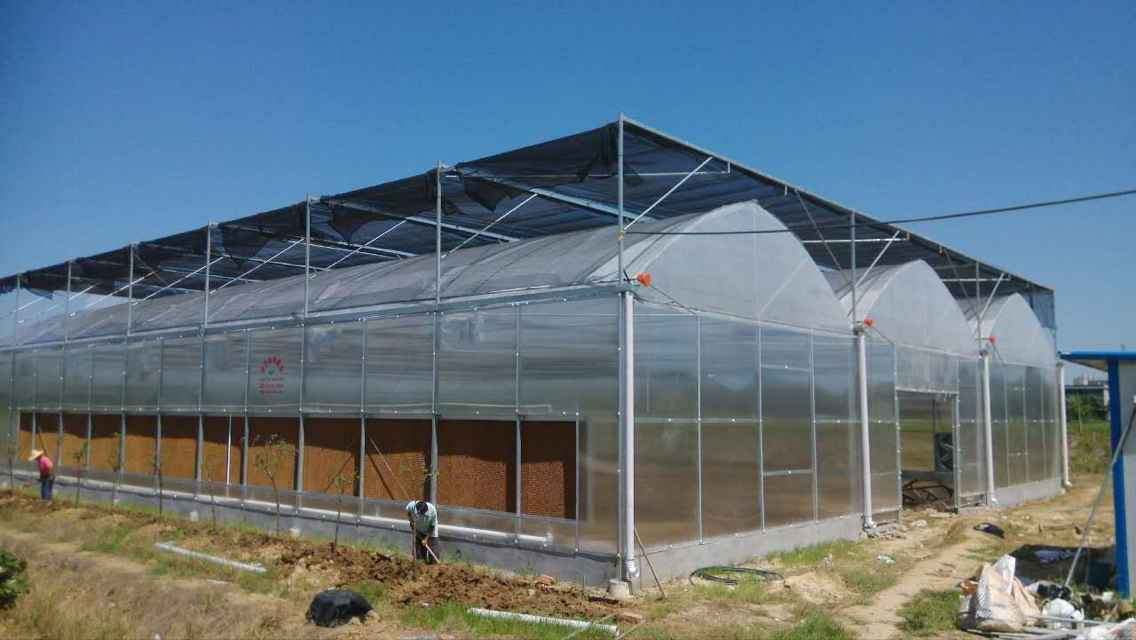 玻璃溫室建設-建溫室大棚要多少錢