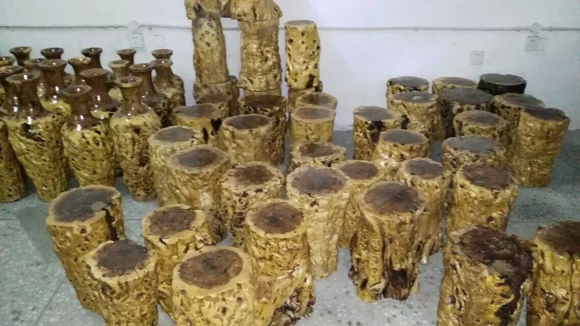 武漢棗木茶臺定制廠-不錯的棗木茶臺當(dāng)選宏達(dá)根藝雕刻中心