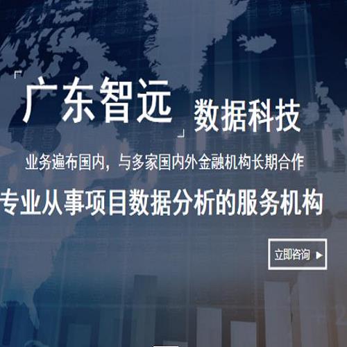 項目投資**分析