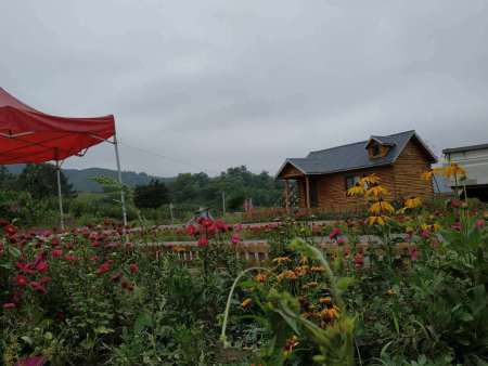 松原農(nóng)家院價(jià)格_信譽(yù)好的丹東油菜花自駕游哪家提供