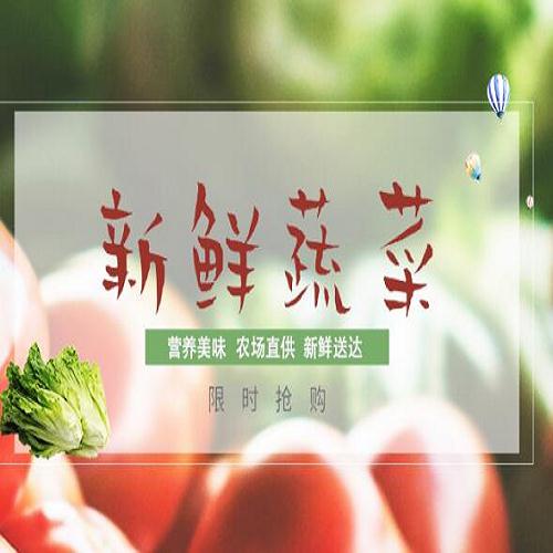 蔬菜圖片