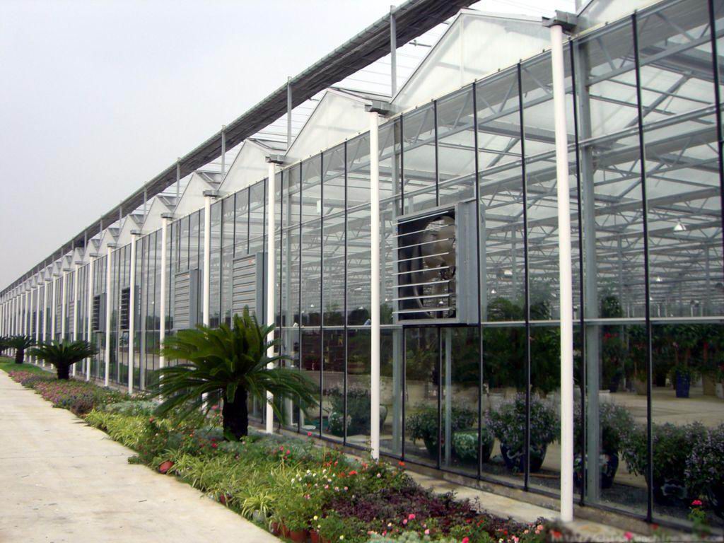 福建溫室大棚|優良的福建育苗基質家庭栽培土黑土農科供應